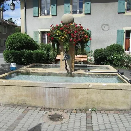 Apartment Studio Renove Dans Centre Historique De Cossonay - 30 Min De Lausanne En Transport En Communs *